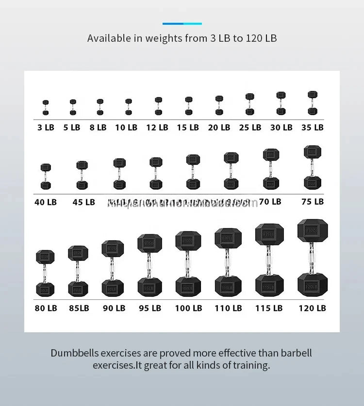 Customizable 2.5-50 Kg Hexagonal Dumbbell Set with Bracket, High-quality Rubber Coated Hex Dumbbells