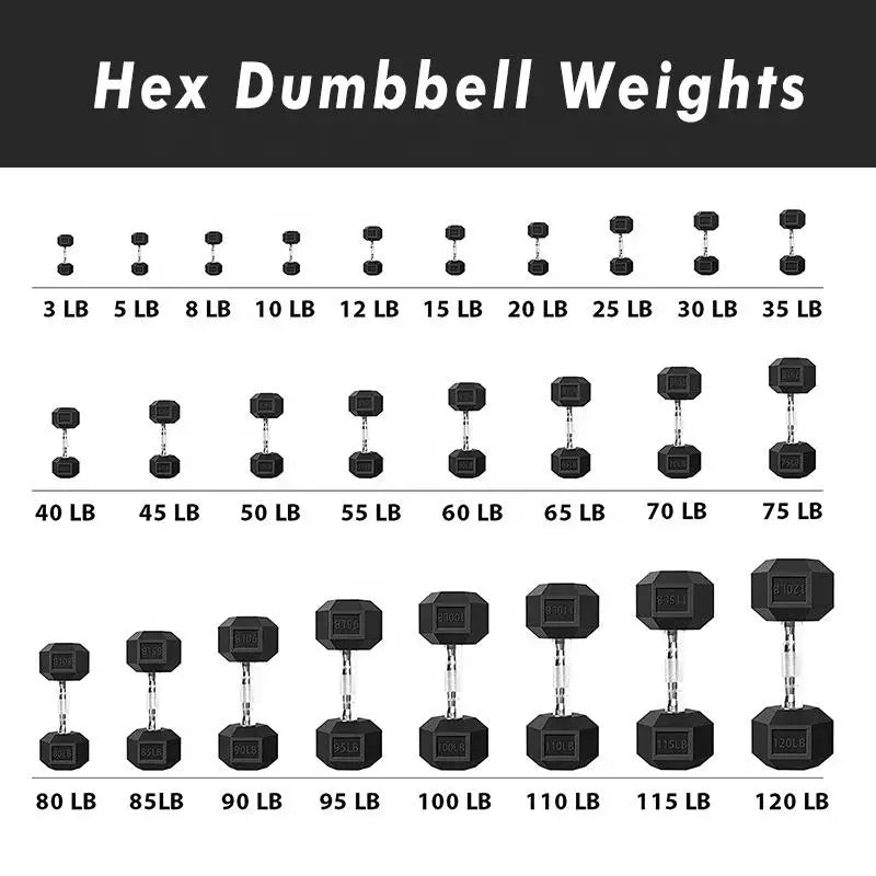 Customizable 2.5-50 Kg Hexagonal Dumbbell Set with Bracket, High-quality Rubber Coated Hex Dumbbells
