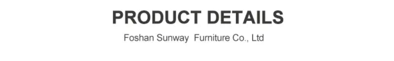 Sunway Double Seater Outdoor Balcony Indoor Bird Nest Hanging Chair Furniture Rope Swing Sets for Outdoor Backyard
